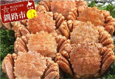 【浜茹で！】ボイル毛ガニ3.2kg 詰め（冷凍）8尾入り ふるさと納税 かに 蟹 F4F-5468