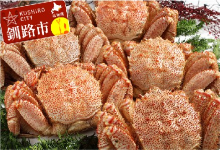 【浜茹で！】ボイル毛ガニ3.0kg 詰め（冷凍）5尾入り ふるさと納税 かに 蟹 F4F-5472