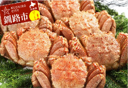 【浜茹で！】ボイル毛ガニ3.0kg 詰め（冷凍）6尾入り ふるさと納税 かに 蟹 F4F-5473