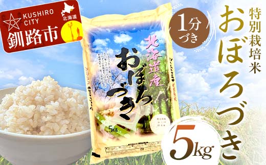 【期間限定！寄附額改定↓！】【令和7年度産 】 【新米】 特別栽培米おぼろづき 5kg 1分づき 北海道産 米 コメ こめ お米 白米 玄米 通常発送 _F4F-9805