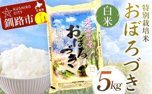 【期間限定！寄附額改定↓！】【令和7年度産 】 【新米】 特別栽培米おぼろづき 5kg 白米 北海道産 米 コメ こめ お米 白米 玄米 通常発送 _F4F-9818