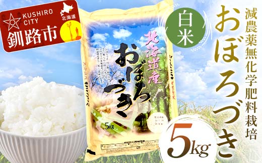 【期間限定！寄附額改定↓！】【令和7年度産 】【新米】減農薬9割減 ・ 化学肥料不使用おぼろづき 5kg 白米 北海道産 米 コメ こめ お米 白米 玄米 通常発送 _F4F-9428