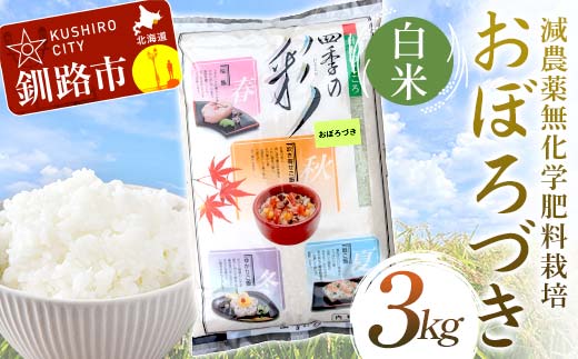 減農薬9割減 ・ 化学肥料不使用おぼろづき 3kg 白米 北海道産 米 コメ こめ お米 白米 玄米 通常発送 _F5F-0094