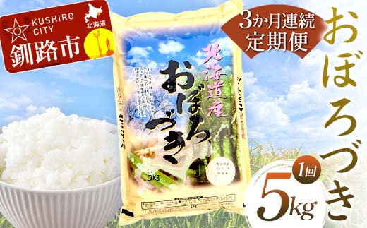 【期間限定！寄附額改定↓！】【3か月連続定期便】北海道産 おぼろづき 5kg 白米 米 コメ こめ お米 白米 _F4F-7852