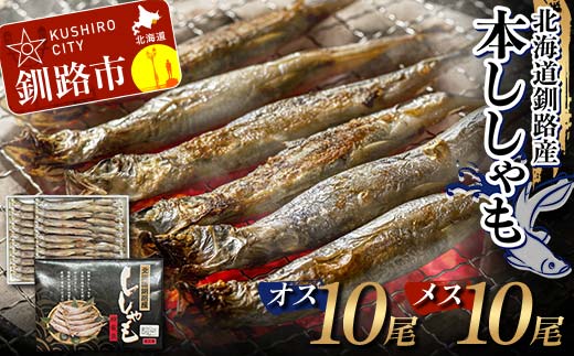本ししゃも オス10尾・メス10尾 釧路産 本ししゃも 魚 ししゃも 魚好きのオス プチプチたまごのメス 魚介 グルメ シシャモ 北海道産 国産 魚 魚介 海の幸 _F4F-8433