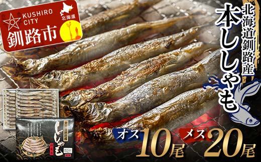 本ししゃも オス10尾・メス20尾 釧路産 本ししゃも 魚 ししゃも 魚好きのオス プチプチたまごのメス 魚介 グルメ シシャモ 北海道産 国産 魚 魚介 海の幸 _F4F-8866