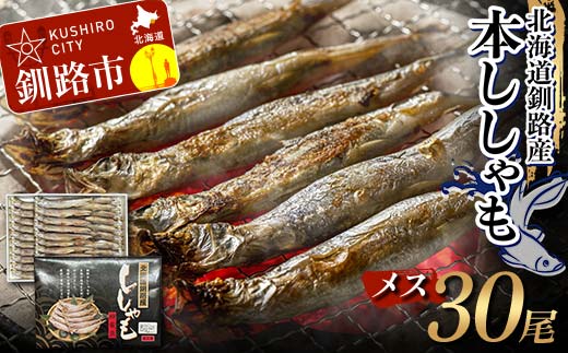 本ししゃも メス30尾 釧路産 本ししゃも 魚 ししゃも プチプチたまごのメス 魚介 グルメ シシャモ 北海道産 国産 魚 魚介 海の幸 _F4F-8868