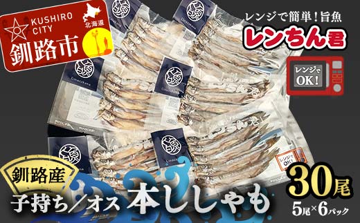 レンちん君釧路産本ししゃもセット シシャモ 冷凍 魚 海産物 一夜干し 北海道 _F4F-8446