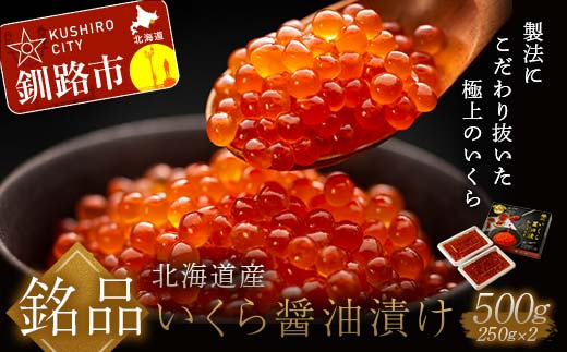 【12月25日までの入金で年内発送】 笹谷商店 北海道産いくらしょう油漬500g（250g×2個パック入り） ふるさと納税 いくら _F5F-0053