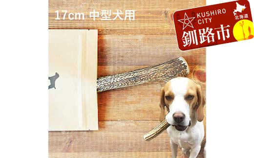 エゾ鹿の角ガム 17cm 中型犬用 北海道産 国産 無添加 犬用ガム 天然鹿角 長持ち デンタルケア ペット おやつ _F5F-0062