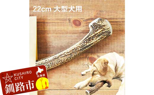 エゾ鹿の角ガム 22cm 大型犬用 北海道産 国産 無添加 犬用ガム 天然鹿角 長持ち デンタルケア ペット おやつ _F5F-0066