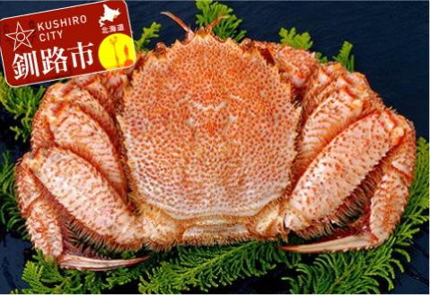 【期間限定！寄附額改定↓！】北海道産ボイル毛がに 1尾（800g） ふるさと納税 かに 蟹 _F4F-0903