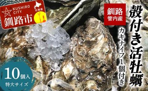 釧路管内産！殻付き活牡蠣【特大】10個 _F4F-2990