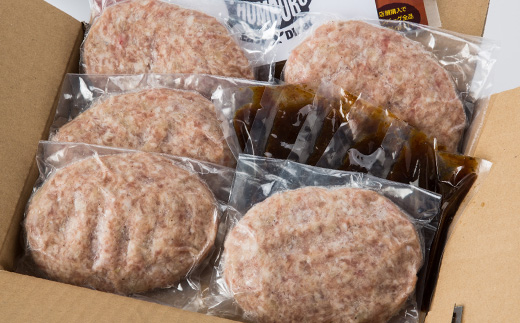 オリジナル玉ねぎソースで食べるハンバーグステーキ(生タイプ)5食セット【配送不可地域：離島】