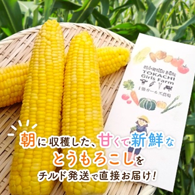 先行受付【十勝ガールズ農場】直送 朝もぎつぶつぶ「あま～いゴールドとうもろこし」10本【配送不可地域：離島】