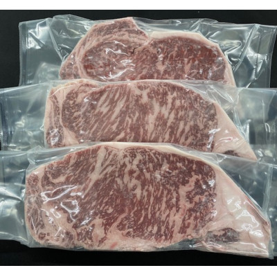 帯広牛 サーロイン ステーキ セット 計600g(200g×3枚)すりおろし山わさび付き【配送不可地域：離島】