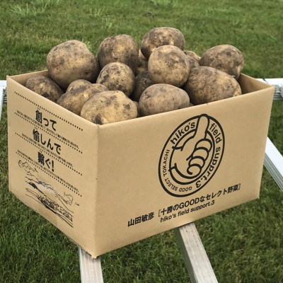 じゃがいも (とうや)10kg 北海道十勝帯広産【配送不可地域：離島】