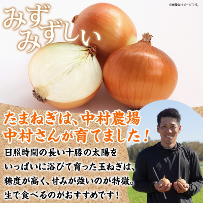 十勝 玉ねぎ 5kg メークイン じゃがいも 5kg 計10kg 農家さんのお野菜 北海道 帯広市