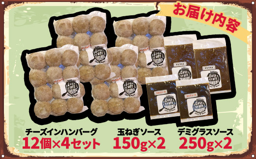 チーズ in 生ハンバーグ 12個×4(玉ねぎソース150g、デミグラスソース250g 各2個)【配送不可地域：離島】