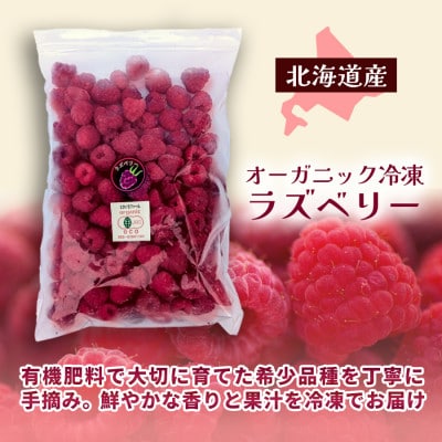  冷凍ラズベリー2種食べ比べセット 5kg (500g×10袋)【十勝産 希少品種】【配送不可地域：離島】
