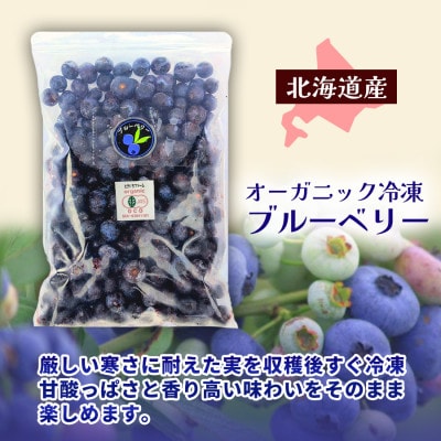 【令和8年8月以降出荷】有機JAS認証 冷凍ブルーベリー1.5kg(500g×3袋)【北海道十勝産】【配送不可地域：離島】