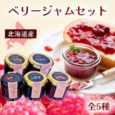 ベリージャムセット全5種 各70g×3セット