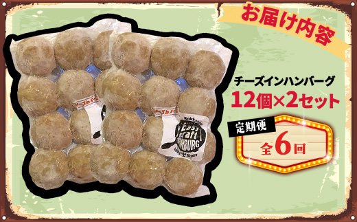 【毎月定期便】チーズ in ハンバーグ　生(12個入) 2セット全6回【配送不可地域：離島】