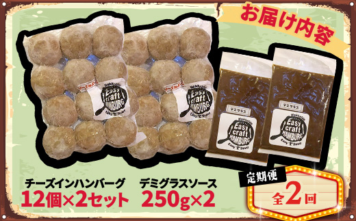 【毎月定期便】チーズ in ハンバーグ(生)12個入(デミグラスソース250g) 2セット全2回【配送不可地域：離島】