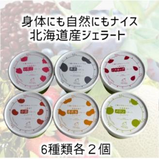 北海道産ヴィーガンジェラート6種類×2個【配送不可地域：離島】