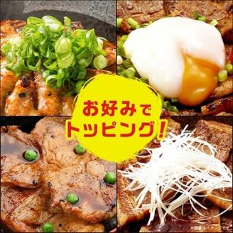 豚丼のぶたはげ「極撰豚丼セット4人前」【配送不可地域：離島】