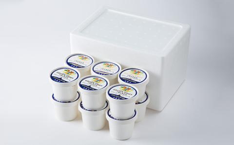 ゴールデンジャージーアイスクリーム(ミルク)12個入り【配送不可地域：離島】