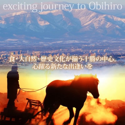 【北海道ツアー】帯広市 後から選べる旅行Webカタログで使える!旅行クーポン 15万円分