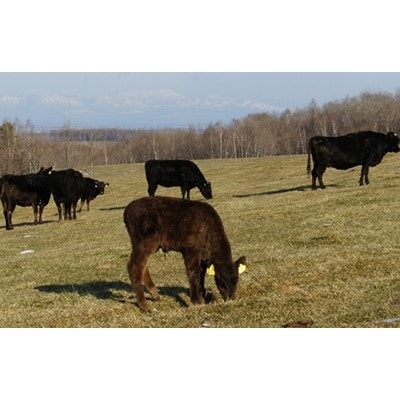 十勝ぬっぷく黒毛和牛(A5)　焼肉4種(100g×4種)×2セット【配送不可地域：離島】