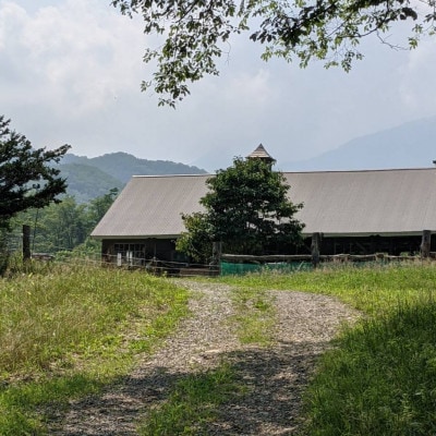 香林農園ナチュラルチーズ　牛セミハードチーズ　北海道　日高山脈の麓のチーズ農家【配送不可地域：離島】