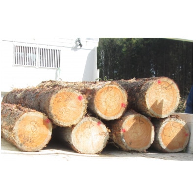 BEAR LARCH 　カラマツスツール