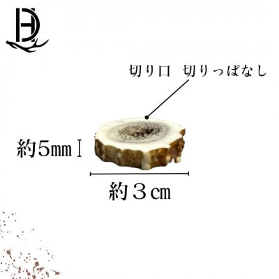 鹿の角 輪切り 10個入り 北海道産 アクセサリー クラフト材