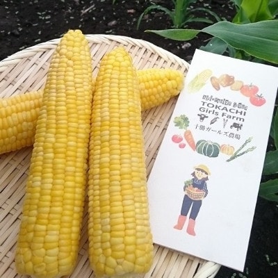 先行受付【十勝ガールズ農場】直送 朝もぎつぶつぶ「あま～いゴールドとうもろこし」10本【配送不可地域：離島】