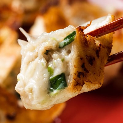 「餃子専門店工場直送60個」北の匠3種セットC(手作り餃子・ラクレットチーズ餃子・行者にんにく餃子)【配送不可地域：離島】