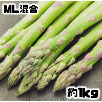 【先行受付】グリーンアスパラM・Lサイズ混合約1kg(500g×2袋)【配送不可地域：離島】