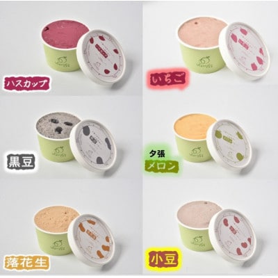 北海道産ヴィーガンジェラート　6個+新商品3個セット【配送不可地域：離島】