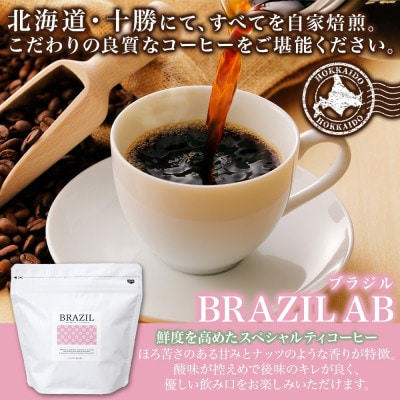 コーヒー豆 ブラジル 100g×2袋 鮮度を高めたスペシャルティコーヒー 北海道 帯広市