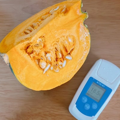 北海道帯広市産　かぼちゃ「きみまろん」10kg　糖度15～19