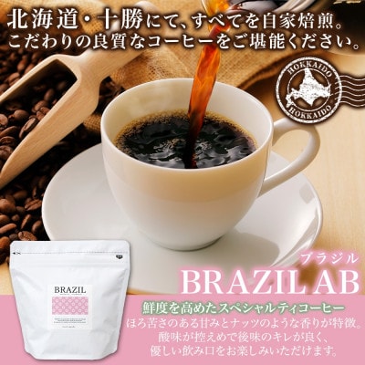熨斗 コーヒー豆 ブラジル 100g 2袋 鮮度を高めたスペシャルティコーヒー 北海道 帯広市