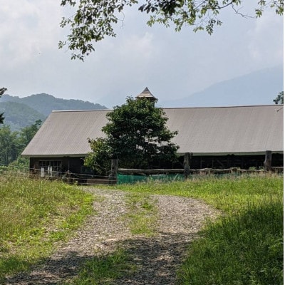 香林農園ナチュラルチーズ　山羊と牛のチーズセット　北海道　日高山脈の小さなチーズ農家【配送不可地域：離島】