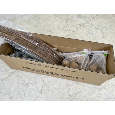 【越冬熟成3点セット】長芋・じゃがいも(とうや)・春堀ゴボウ　計約9.4kg 北海道十勝帯広産【配送不可地域：離島】