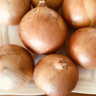 【訳あり】北海道 十勝 帯広産 玉ねぎ 20kg【配送不可地域：離島】