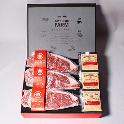 【毎月定期便】豊西牛100%ハンバーグ・サーロインステーキ・ローストビーフセット 全3回【配送不可地域：離島】