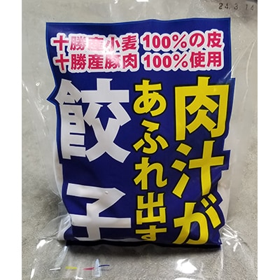 【2ヵ月毎定期便】肉汁があふれ出す餃子 全3回【配送不可地域：離島】