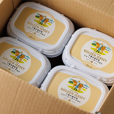 【毎月定期便】ゴールデンジャージーヨーグルト 450g×4個 北海道 十勝 加藤牧場全3回【配送不可地域：離島】