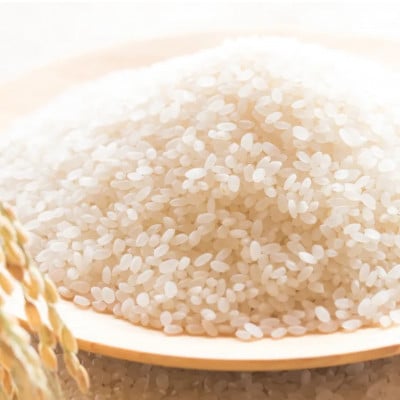 【毎月定期便】北海道産 ななつぼし 無洗米 10kg (5kg×2袋)全3回